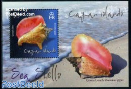 Cayman Islands 2010 Sea Shells S/s, Mint NH, Nature - Shells & Crustaceans - Marine Life
