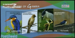 Gambia 2009 Birds Of Gambia 4v M/s, Mint NH, Nature - Birds - Gambie (...-1964)