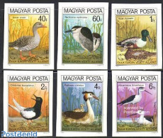 Hungary 1980 European Nature Conservation 6v Imperforated, Mint NH, History - Nature - Europa Hang-on Issues - Birds -.. - Nuovi