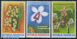 Indonesia 1977 Orchids 3v, Mint NH, Nature - Flowers & Plants - Orchids - Indonésie