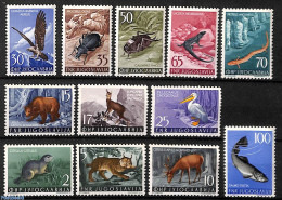 Yugoslavia 1954 Animals 12v, Mint NH, Nature - Animals (others & Mixed) - Bears - Birds - Birds Of Prey - Cat Family -.. - Unused Stamps