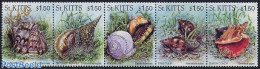 Saint Kitts/Nevis 1996 Snails 5v [::::], Mint NH, Nature - Shells & Crustaceans - Marine Life