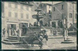 Perugia Assisi Fontana Brunner 13638 Cartolina RB5596 - Perugia