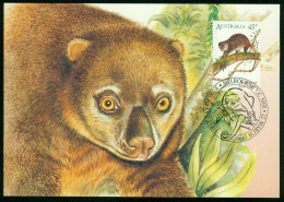 Mk Australia Maximum Card 1996 MiNr 1541 | Indonesian Bear Cuscus #max-0038 - Cartas Máxima