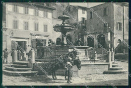 Perugia Assisi Fontana Brunner 13638 Cartolina RB5591 - Perugia