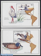 Saint Vincent 1993 Birds 2 S/s, Mint NH, Nature - Various - Birds - Ducks - Maps - Geografía