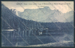 Gorizia Lago Weissenfels Cartolina ZQ2976 - Gorizia