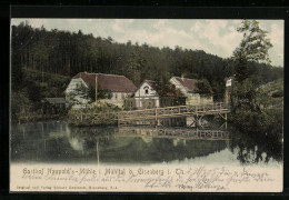 AK Eisenberg, Gasthof Naupold`s Mühle  - Eisenberg