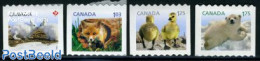 Canada 2011 Baby Wildlife 4v S-a, Mint NH, Nature - Animals (others & Mixed) - Bears - Rabbits / Hares - Nuevos