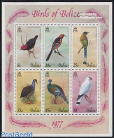 Belize/British Honduras 1977 Birds S/s, Mint NH, Nature - Birds - Britisch-Honduras (...-1970)