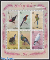 Belize/British Honduras 1977 Birds S/s, Mint NH, Nature - Birds - Honduras Británica (...-1970)