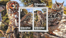 Gibraltar 2020 Owls S/s, Mint NH, Nature - Birds - Birds Of Prey - Owls - Gibilterra