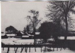 BASTOGNE Visage Du Pays De Bastogne Photo Jean Mezier HEMROULLE - Bastenaken