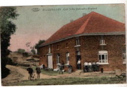 Ellezelles ,Café Delboudry - Moulard - Ellezelles