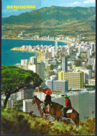 BENIDORM - Chevaux - Horses - Alicante