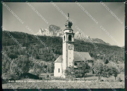 Belluno Borca Di Cadore Foto FG Cartolina ZKM7118 - Belluno