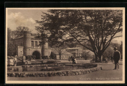 AK Karlsruhe, Botanischer Garten Mit Brunnen  - Karlsruhe