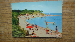 île De Ré , La Plage Et Le Bois De " Trouse-chemise " - Ile De Ré