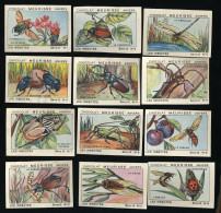 Meurisse - Ca 1930 - 12 - Les Insectes, Insects - Full Serie - Otros & Sin Clasificación