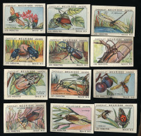 Meurisse - Ca 1930 - 12 - Les Insectes, Insects - Full Serie (no 9 Damaged) - Otros & Sin Clasificación