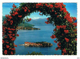 LAGO  MAGGIORE (NO):   ISOLA  BELLA  -  2  PICCOLE  TRACCE  DI  COLLA  RETRO  -  FG - Châteaux D'eau & éoliennes