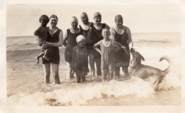 Photographie Photo Vintage Snapshot Chien Dog Plage Mode Beach - Lugares