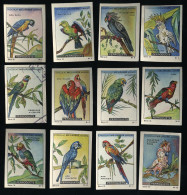 Meurisse - Ca 1930 - 13 - Les Perroquets, Parrots - Full Serie (see No 5) - Otros & Sin Clasificación
