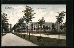 AK Zwickau, Abendstimmung An Der Ingenieurschule  - Zwickau