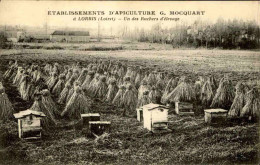 AGRICULTURE - Carte Postale De L'Etablissement D'Apiculture G. Mocquart à Lorris - Un Des Ruchers D’élevage  - L 152088 - Crías