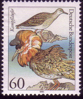 1539 Seevögel 60 Pf Kampfläufer ** - Neufs