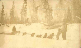 ATTELAGES - Carte Postale Photo D'un Traineau Dans La Neige - L 152092 - Dogs