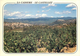 Vignes - La Cadière - Le Castellet - CPM - Carte Neuve - Voir Scans Recto-Verso - Weinberge