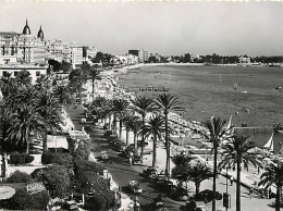 06 - Cannes - La Croisette - Animée - Automobiles - Carte Dentelée - CPSM Grand Format - Voir Scans Recto-Verso - Cannes