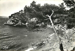 83 - Le Pradet - Plage Des Bonnettes - Animée - Scènes De Plage - CPSM Grand Format - Voir Scans Recto-Verso - Le Pradet