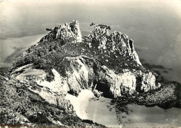 29 - Morgat - La Vierge à La Pointe De St-Hernot (côté Est Du Cap De La Chèvre) - CPSM Grand Format - Voir Scans Recto-V - Morgat