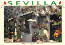 Espagne - Espana - Andalucia - Sevilla - Patio Andaluz - Fleurs - Espana - CPM - Voir Scans Recto-Verso - Sevilla