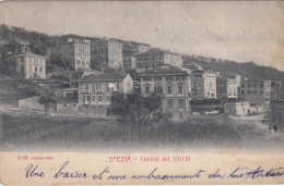 LA SPEZIA-COLLINA DEI VICCHI-CARTOLINA  VIAGGIATA IL 13-8-1904-RETRO INDIVISO - La Spezia