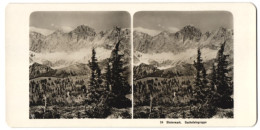 Stereo-Fotografie NPG, Berlin, Ansicht Ramsau Am Dachstein, Blick Nach Der Dachsteingruppe  - Stereoscopio