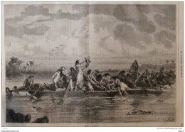Pêche Au Barbasco - Page Original 1871 - Historische Dokumente