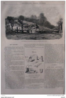 La Batterie De Breteuil Dans Le Parc De Saint-Cloud - Page Original De 1871 - Documentos Históricos