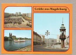 A0142} BRD  (DDR-Zeit) - AK: Magdeburg - Dom, Festplatz, Reiter - Magdeburg