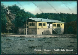 Reggio Calabria Cittanova Zomaro Ostello Gioventù Foto FG Cartolina ZK1671 - Reggio Calabria