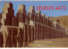 SHIRAZ PERSEPOLIS En 1971 ( IRAN ) Edit. écrite En Arabe - Irán