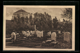 AK Halle /Saale, Gertraudenfriedhof, Gräberfeld  - Sonstige & Ohne Zuordnung