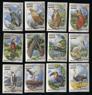 Meurisse - Ca 1930 - 15 - Les Oiseaux, Birds - Full Serie - Other & Unclassified