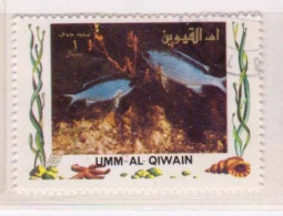 UMM AL QIWAIN - POISSONS (1389)_Ti408 - Umm Al-Qaiwain