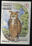 Meurisse - Ca 1930 - 15 - Les Oiseaux, Birds - 3 - Hibou Grand-Duc, Eagle-owl, Bubo Bubo - Other & Unclassified