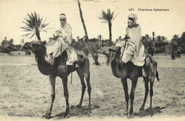 Chambas Sahariens RV - Männer