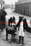 F015791 Young Boy And Man With Donkey On Bankhouse Lane. Halifax. West Yorkshire. 1905 - REPRODUCTION - Other & Unclassified