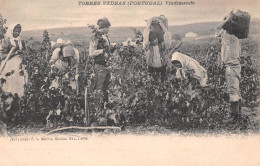 Portugal - TORRES VEDRAS - Vindimando - Vendanges - Précurseur - Andere & Zonder Classificatie